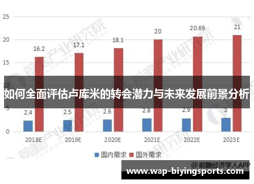 如何全面评估卢库米的转会潜力与未来发展前景分析