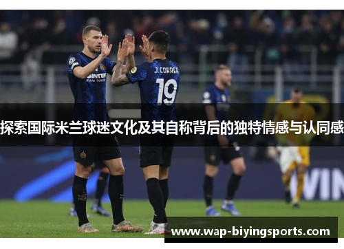 探索国际米兰球迷文化及其自称背后的独特情感与认同感