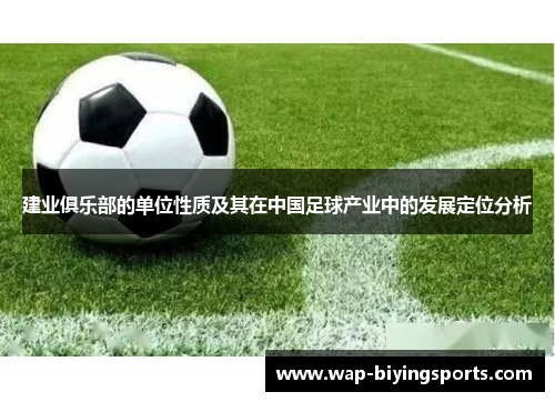 建业俱乐部的单位性质及其在中国足球产业中的发展定位分析 建业俱乐部的单位性质及其在中国足球产业中的发展定位分析