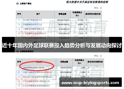 近十年国内外足球联赛投入趋势分析与发展动向探讨