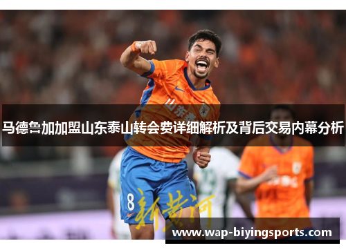 马德鲁加加盟山东泰山转会费详细解析及背后交易内幕分析